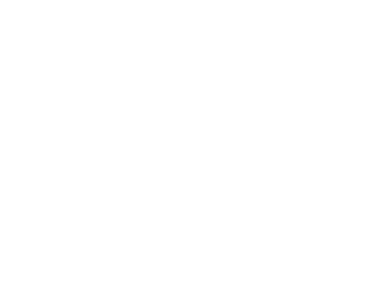 Logo_white.png