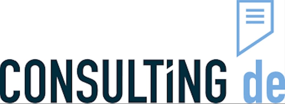 consulting.de