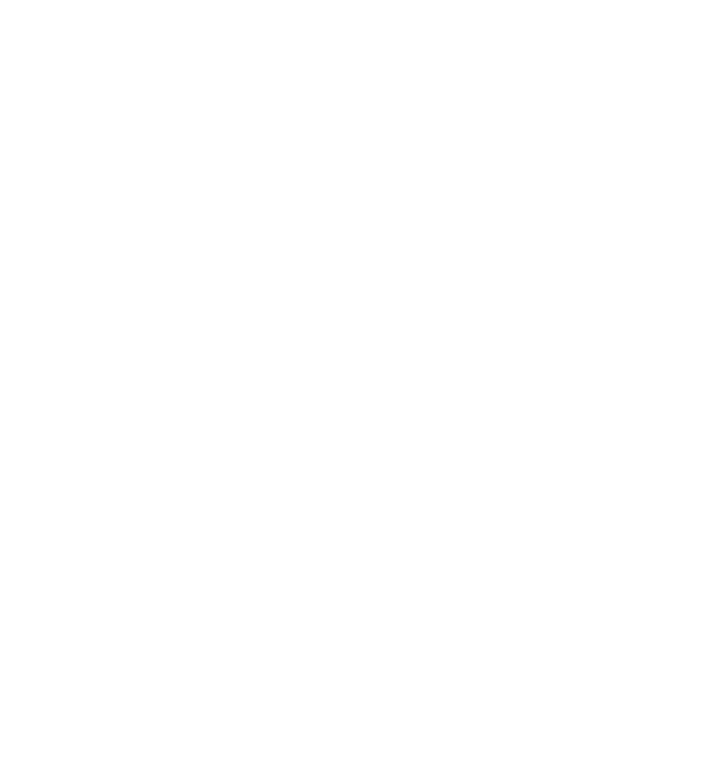 NIRO und KÖGL Logos mit Schriftzug "OFFIZIELLER VIP-PARTNER" und 4 Sternen in Rot auf Grün.