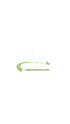 Logo für CO Gebäudereinigung: Gebäudesilhouette, grüner Bogen mit Wischmopp und Blättern.