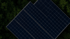 Ein großes Feld mit Reihen von Solarmodulen auf braunem Boden.