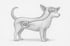 Illustration eines Hundes, die eine Pfeilverbindung zwischen dem Gehirn im Kopf und einem Gehirn-Symbol im Bauch zeigt.