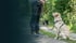Ein Mann hält einen Labrador an der Leine, der auf einem Waldweg sitzt und zu ihm aufschaut.