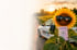 Sommer-Theorie Intensivkurs