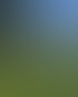 Wie düngt man seine Hecke am besten?