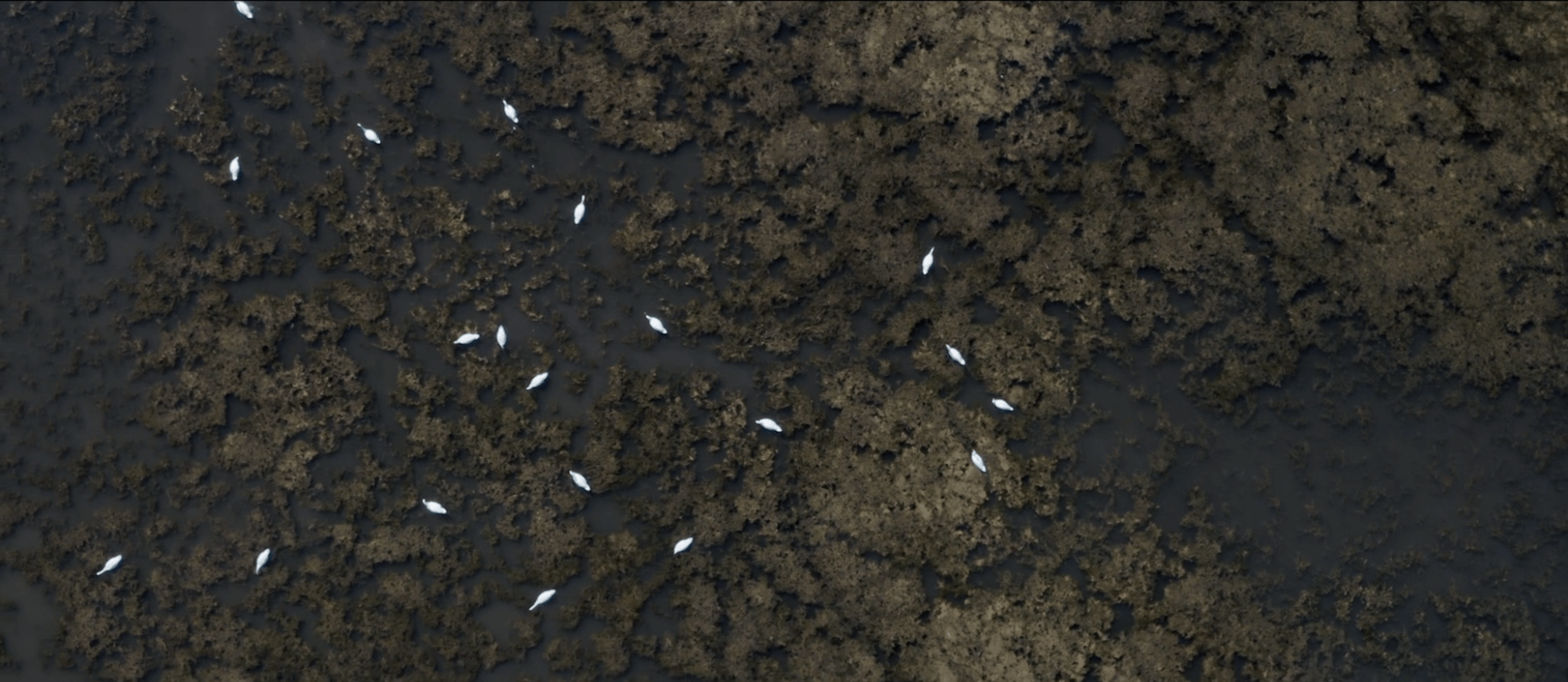 Dokumentationen – Video 4