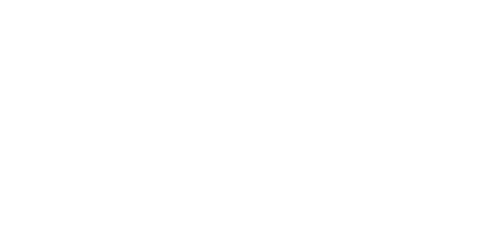 Viviane Photographer Logo mit weißen, geometrischen Buchstaben auf grünem Hintergrund.