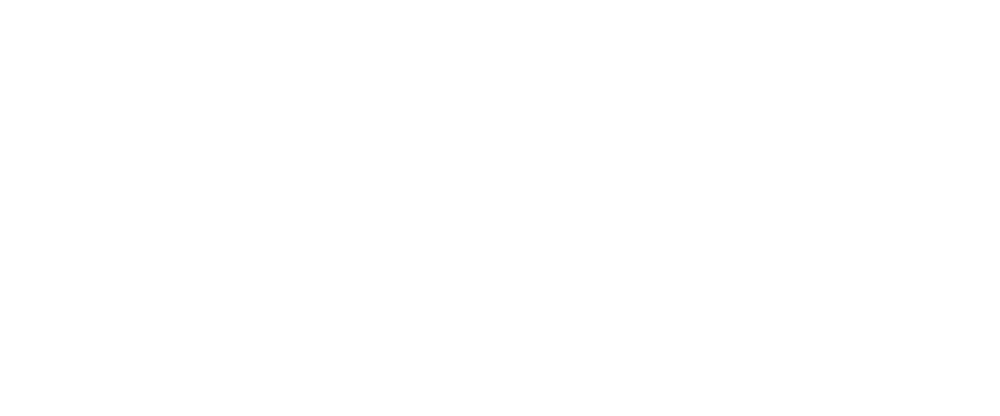 Logo Born Entertainment - Musik aus Arnsberg