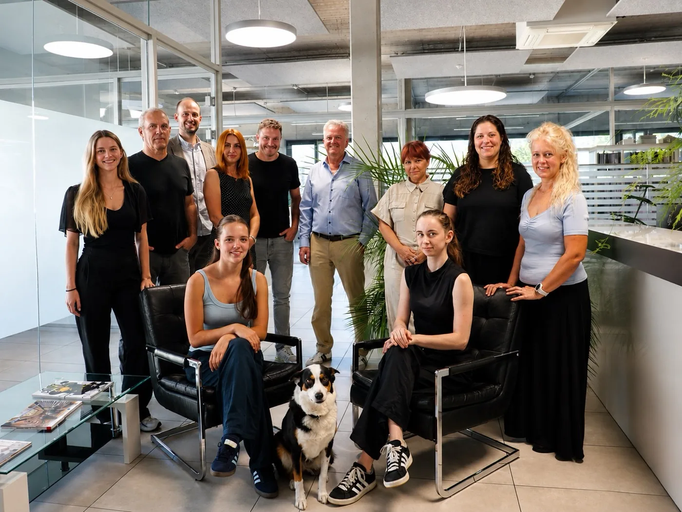 Team im Büro