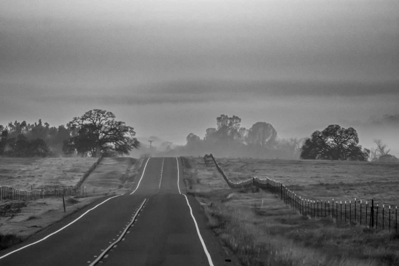 Tule fog driving conditions on a two-lane farm road through the fields outside Hanford, California