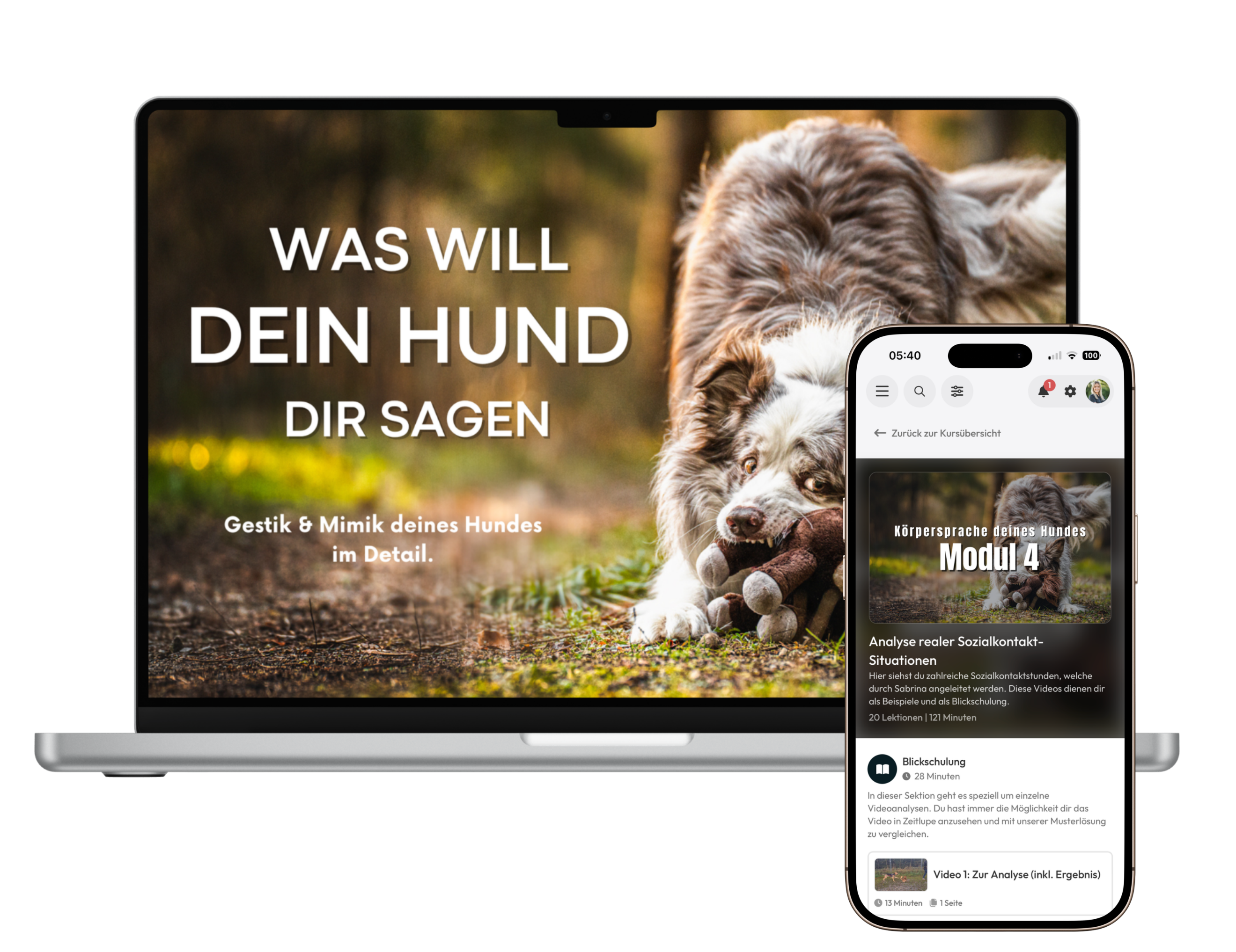 Körpersprache 1