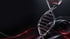 Transparente DNA-Doppelhelix mit silbernen Glanzlichtern vor einem dunklen Hintergrund mit roten Lichtwellen.
