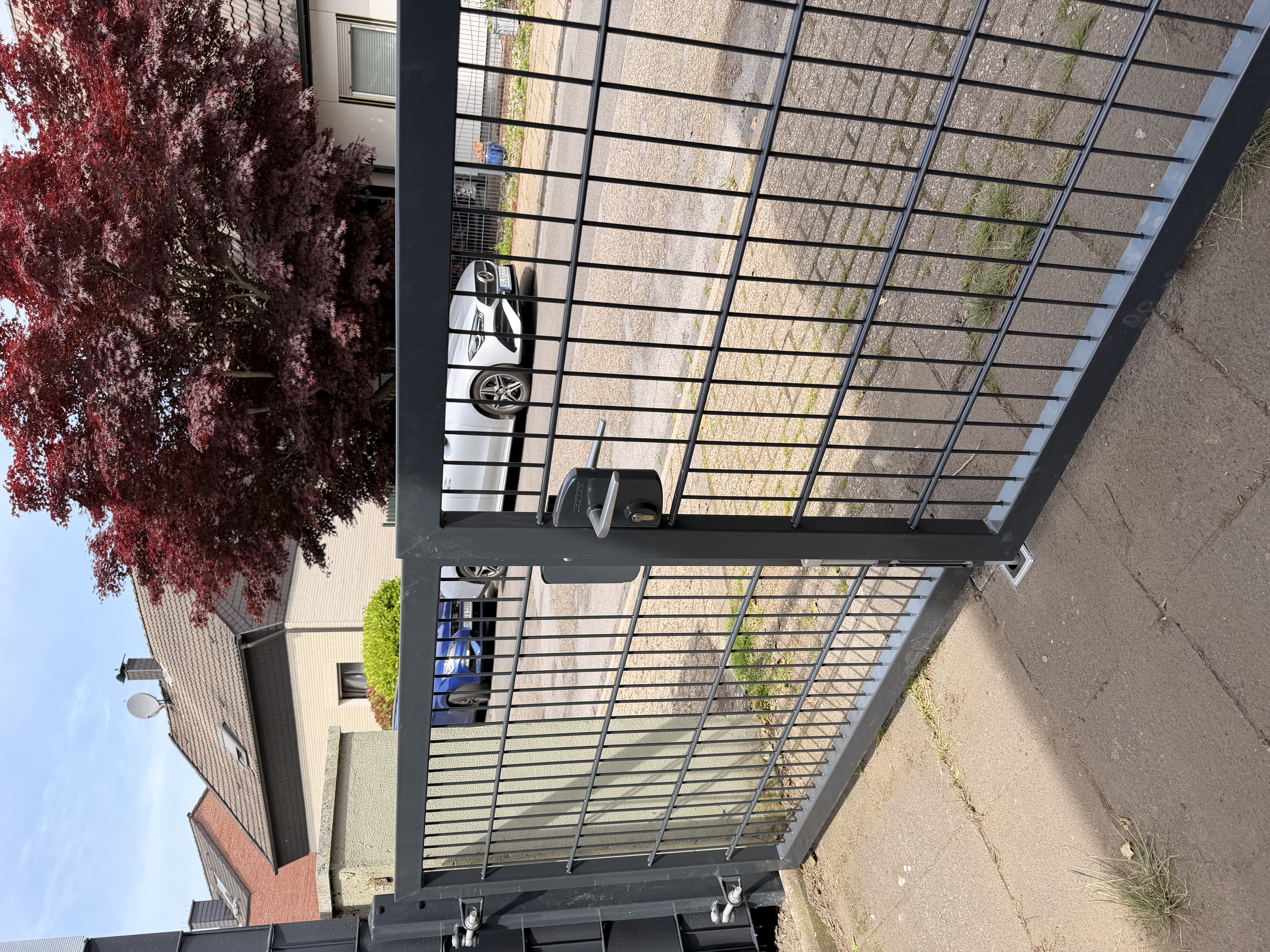 Toranlagen