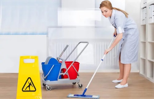 Professionelle Reinigung im Haushalt