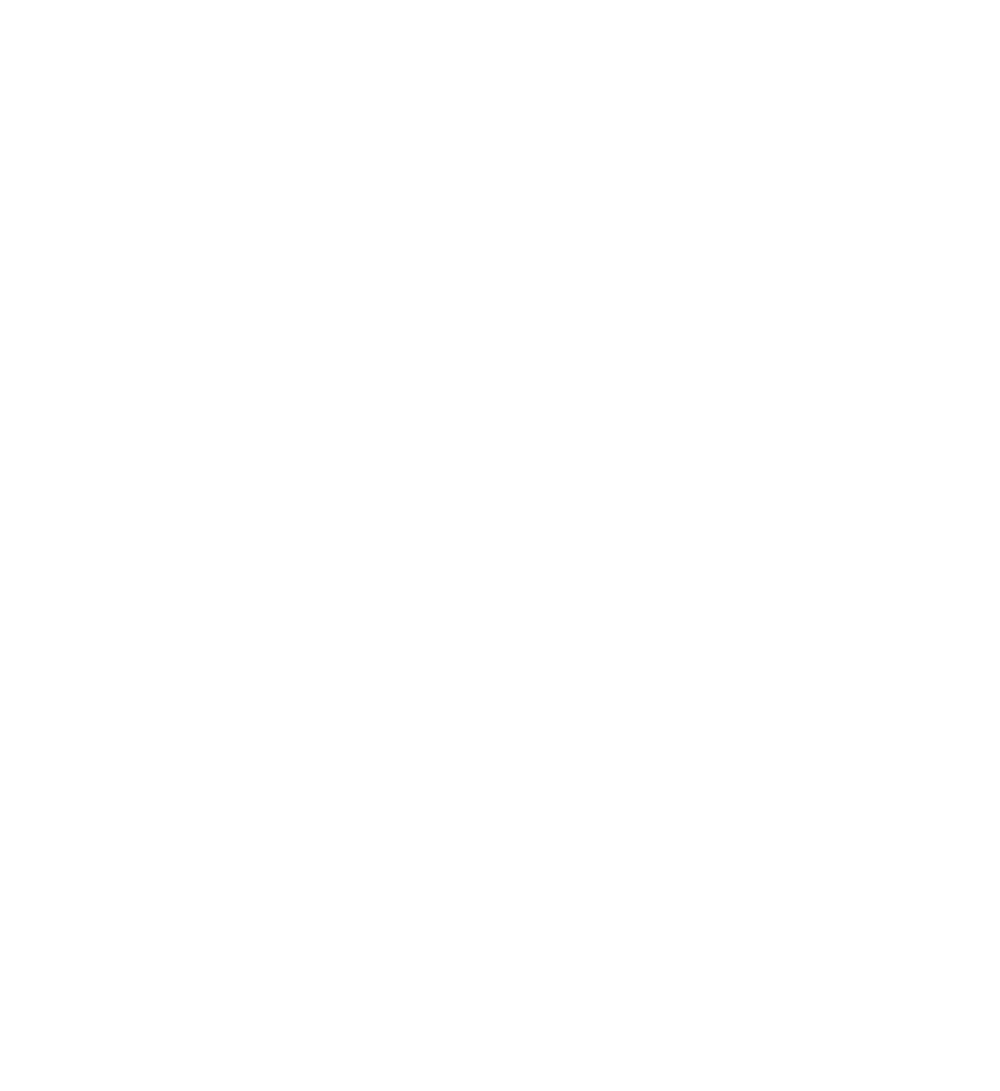 NIRO und KÖGL Logos mit Schriftzug "OFFIZIELLER VIP-PARTNER" und 4 Sternen in Rot auf Grün.
