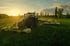 Ein Traktor mäht bei Sonnenuntergang Gras auf einem Feld, mit langen Schatten und Bäumen am Horizont.