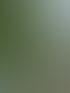 Forstservice Frankfurt (Oder) | Forstservice Winnige