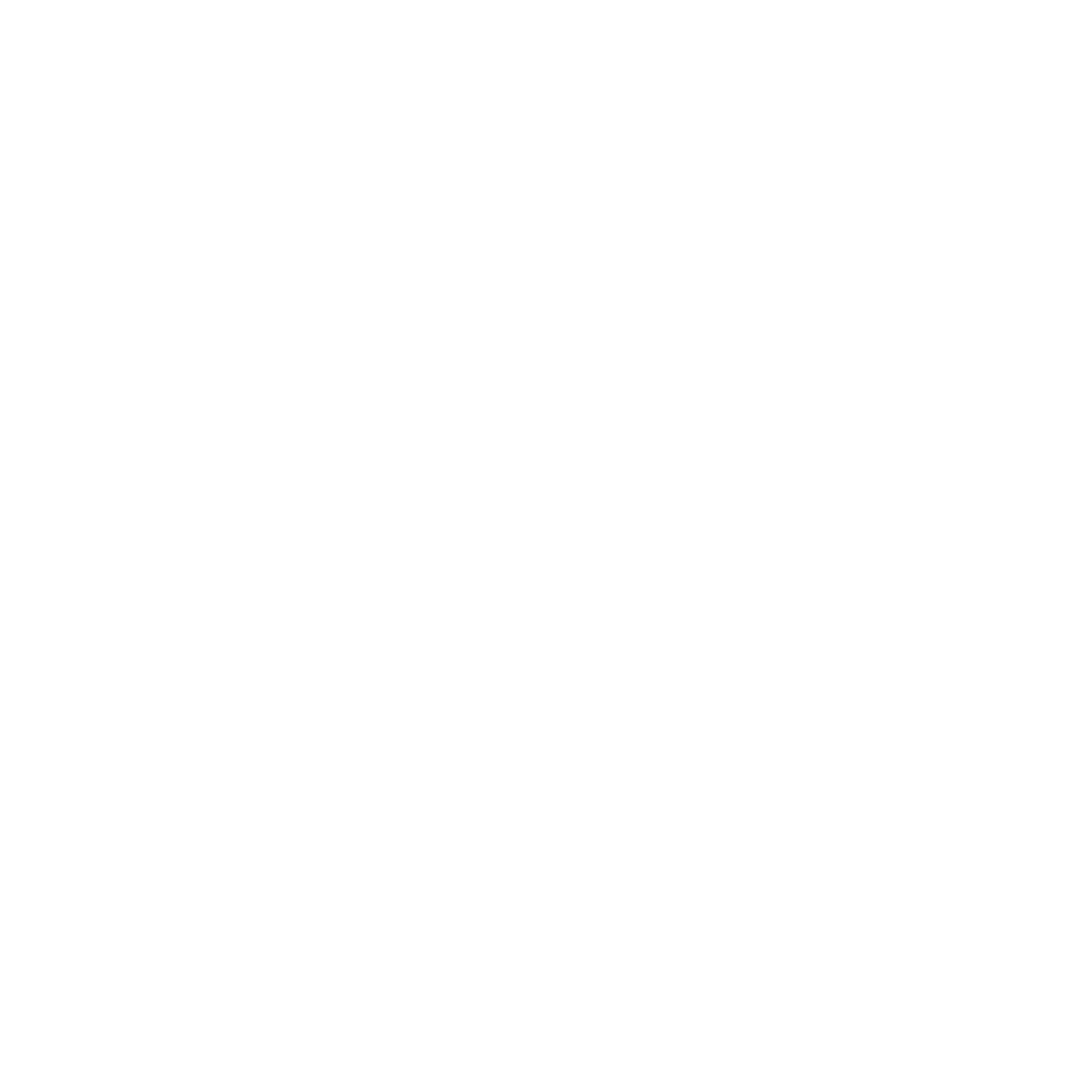 Weißes Auto, Sprühflasche, Bürsten und "VALIENTE'S AUTOMOTIVE" auf grünem Hintergrund.