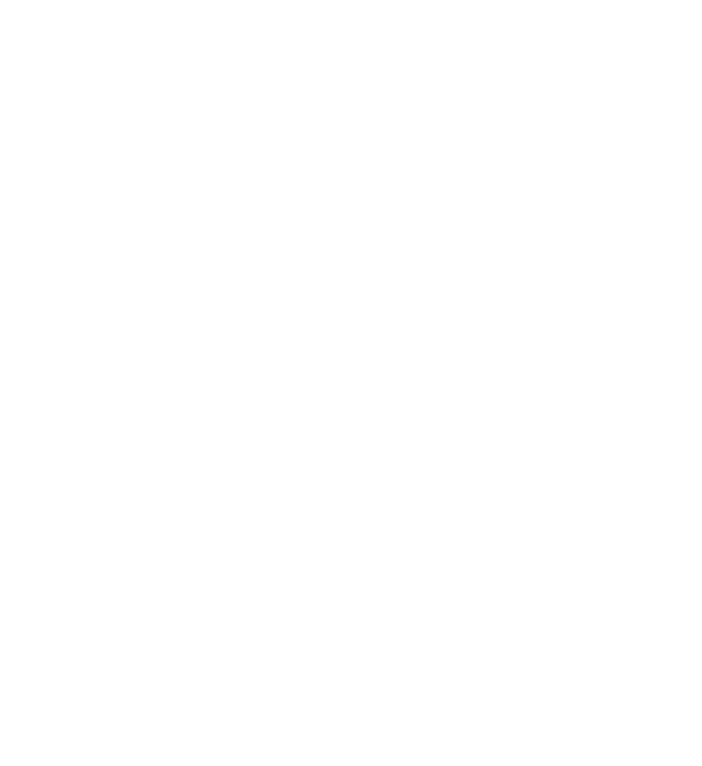 NIRO und KÖGL Logos mit Schriftzug "OFFIZIELLER VIP-PARTNER" und 4 Sternen in Rot auf Grün.