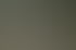 Brautpaar posiert mit Gästen im Freien vor grünen Bäumen für ein Hochzeitsfoto.