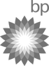 BP Logo mit grüner Hintergrundfarbe, einem weißen und grauen Blütenmuster und dem Text "bp" in der oberen rechten Ecke.