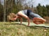 Spielerisch mit movamea - Yoga und Spiraldynamik in Winterthur