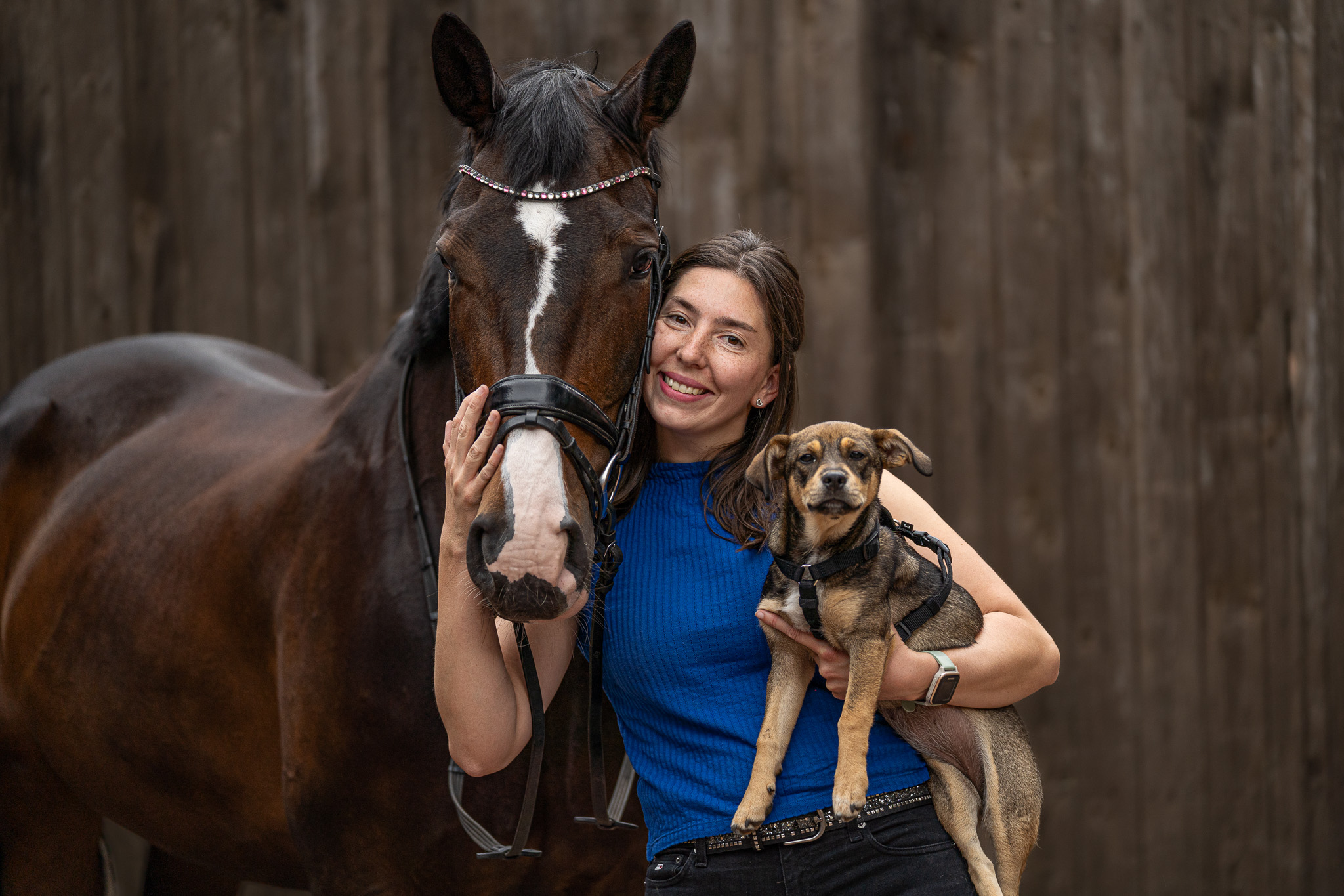 Pferdefotografie von Katharina Middendorp