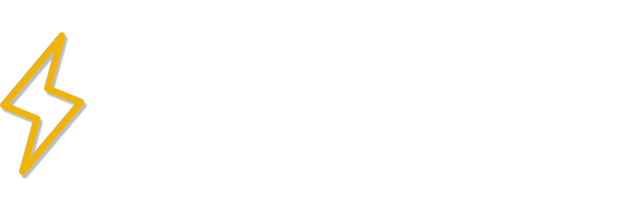 Netzio