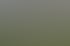 Männliche Fußballmannschaft posiert in grünen Trikots vor einem Haus, zwei Fußbälle auf dem Gras.