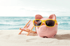 Ein rosafarbenes Sparschwein mit gelber Sonnenbrille sitzt am Sandstrand neben einem Liegestuhl.