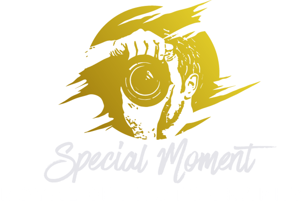 Design astratto dorato sopra la scritta "Momento Speciale ROYAL OF PHOTOGRAPHY" in bianco su sfondo verde. Lugano - Paradiso