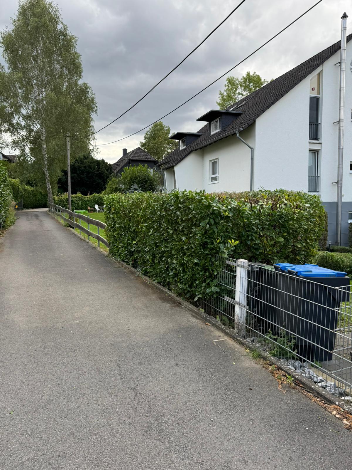 Frisch geschnittene Hecke