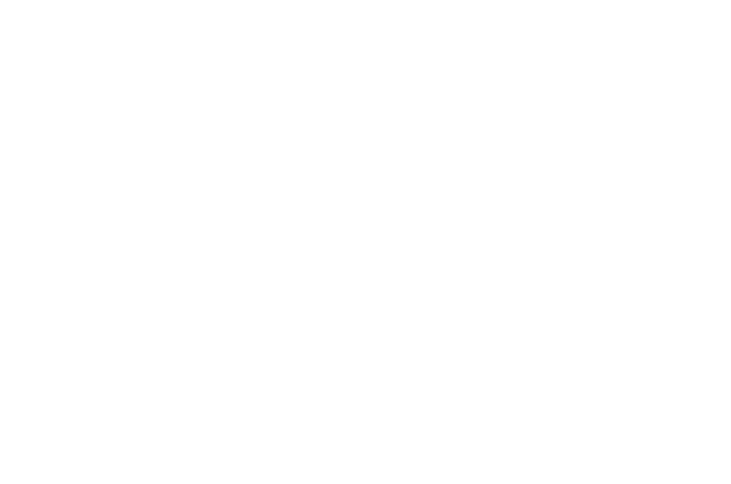 Social Apes