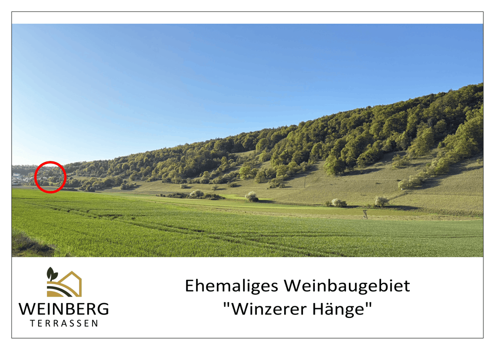 Weinbergterrassen Kelheim – Lage am Südhang