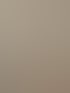 Texturierte Wand in Beige- und Grüntönen.