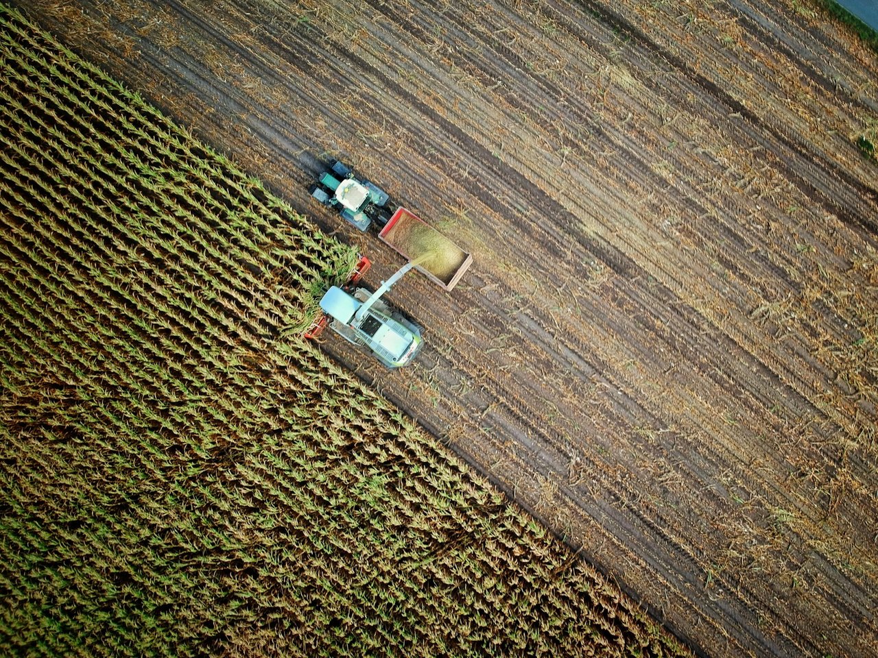 Landwirtschaft
