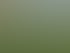 Gartenpflege & Heckenschnitt in Viersen | N. Schreiber