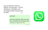 Persönliche 1:1 WhatsApp Begleitung