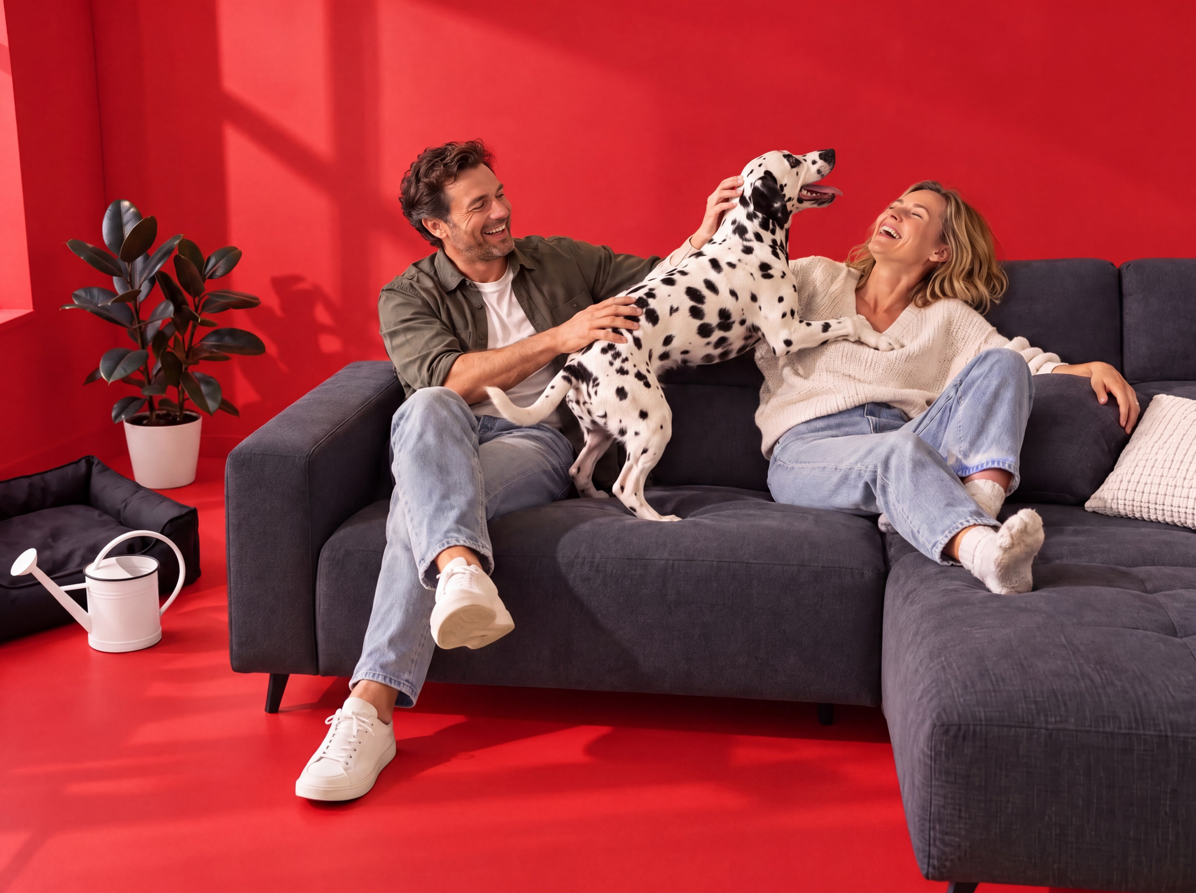 Dalmatiner sitzt auf einem beigen Ledersofa