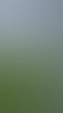 Fußball-Trainingsplatz mit grünem Rasen, Toranlage und moderner Vereinsinfrastruktur im Hintergrund.