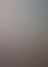 Kohlezeichnung eines Bärenkopfes mit hellem Fell, der nach unten und rechts blickt.