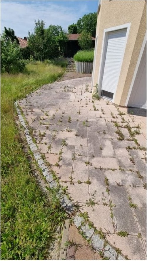 Steinreinigung – vorher