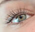 Wimpernlifting in Waldmor, Saarpfalz-Kreis