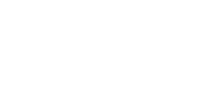 Brasche Immobilien