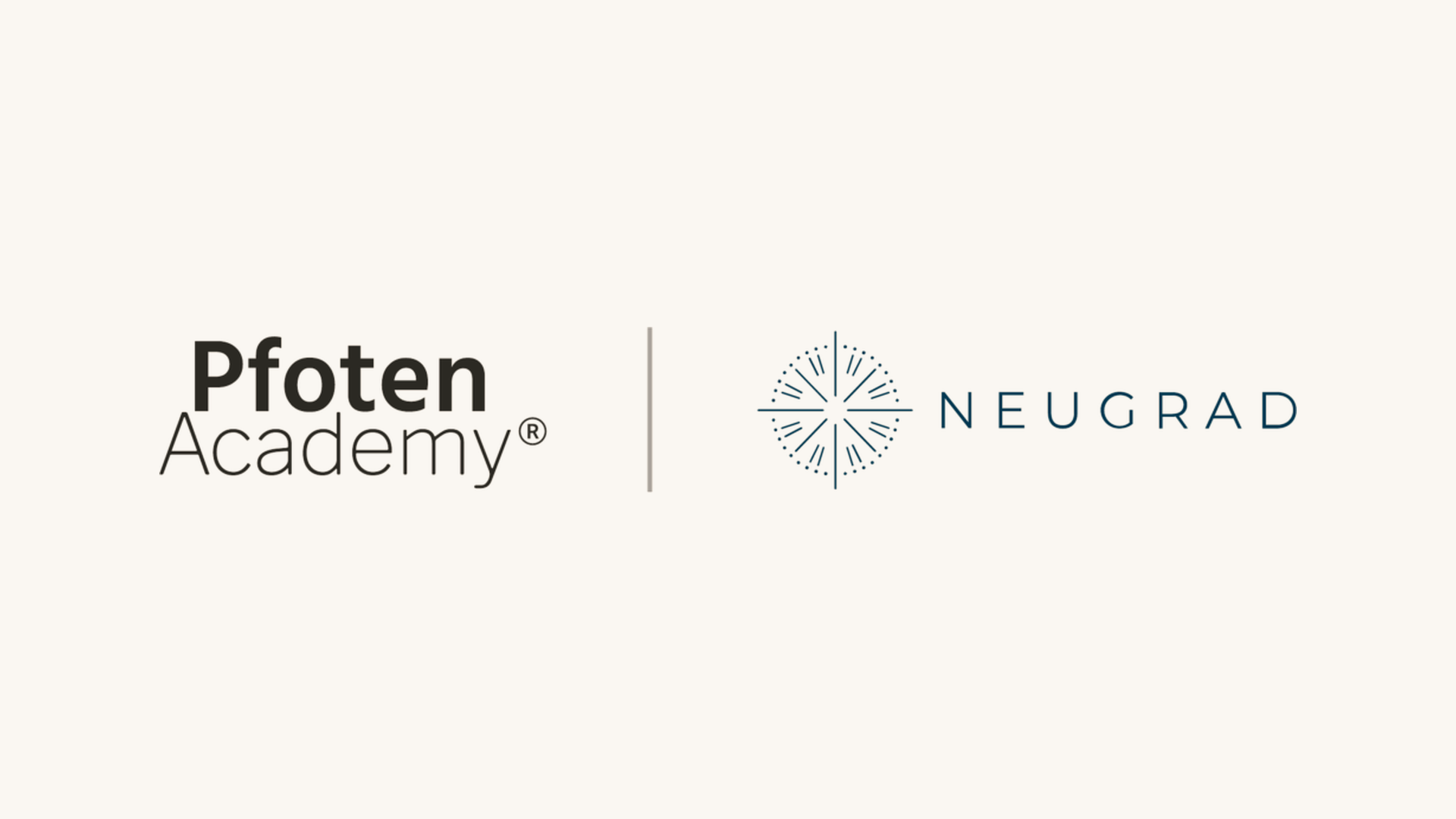 Pfoten Academy und NEUGRAD