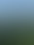 Sonnige Berggipfel ragen über einem dunklen Wald und einer grünen Wiese unter klarem Himmel auf.