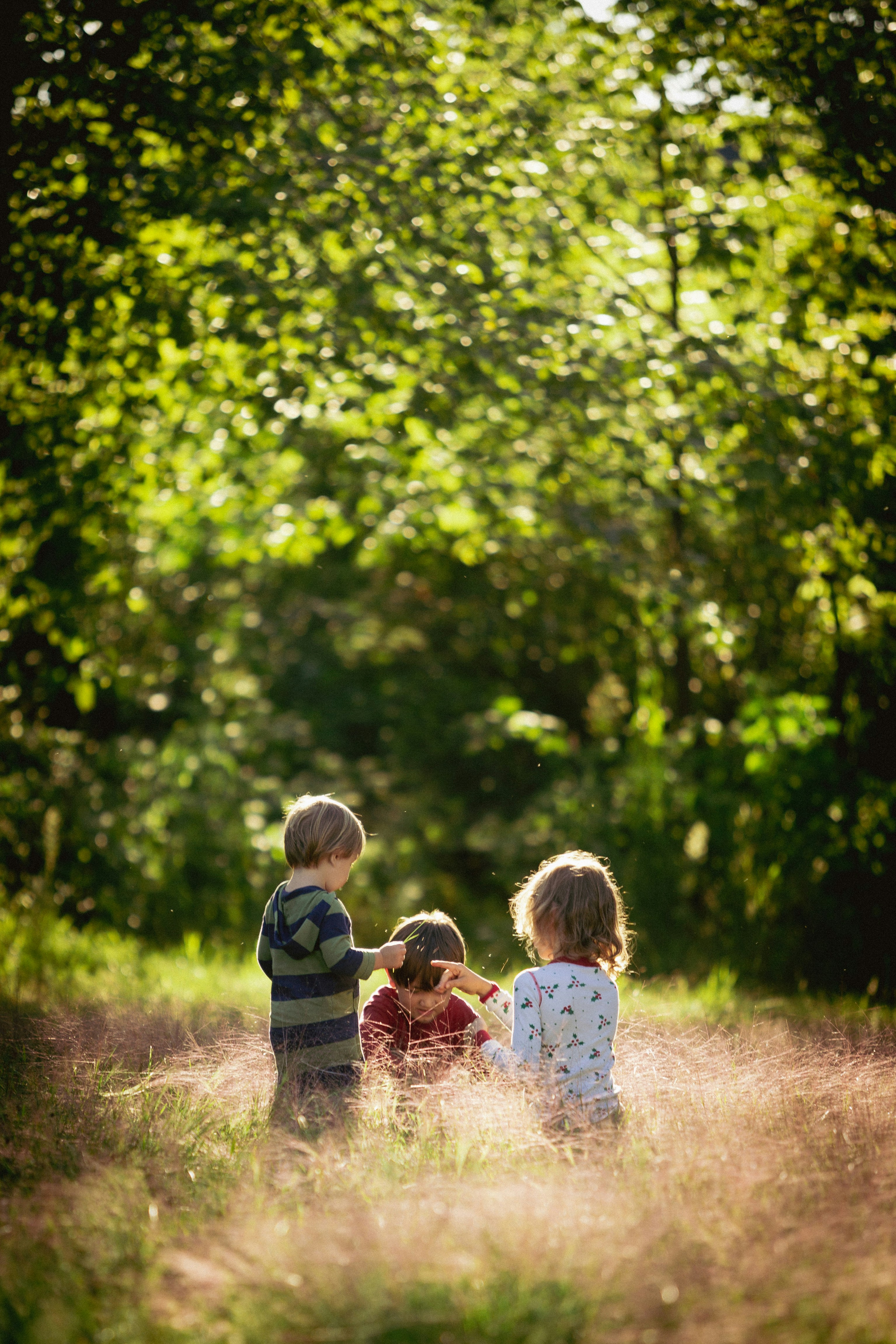 Kinder in der Natur