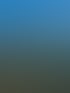 Gartenpflege in Cottbus & Heckenschnitt | Hecken & Halm