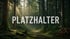 Waldweg mit Sonnenlicht und Text "PLATZHALTER" in eckigen Klammern.