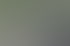 Nahaufnahme eines weißen Alpakas im Profil vor einer Herde auf einer grünen Weide.